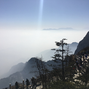 荡女妇边被C边呻吟视频
